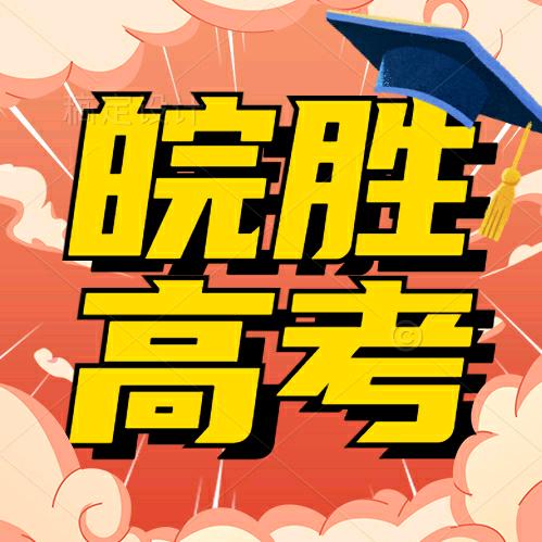 皖胜高考