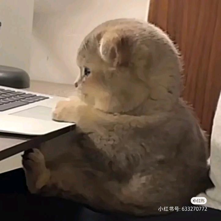 一点点.