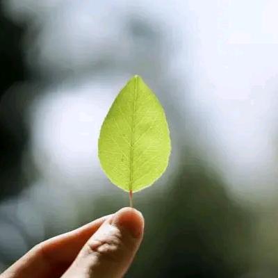 若似人间惊鸿客