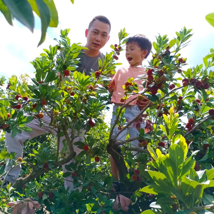 梁梁