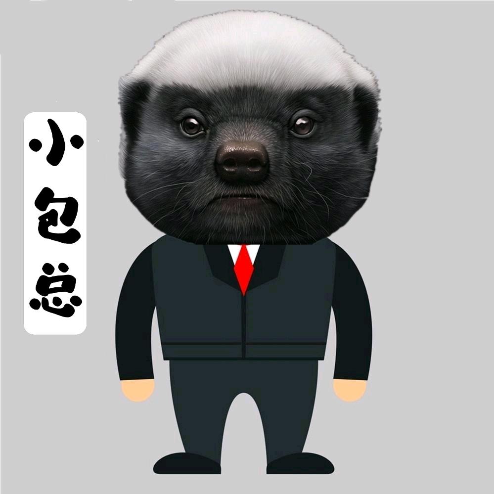 小包总说