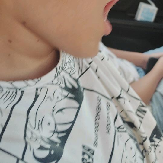 可爱的兔子