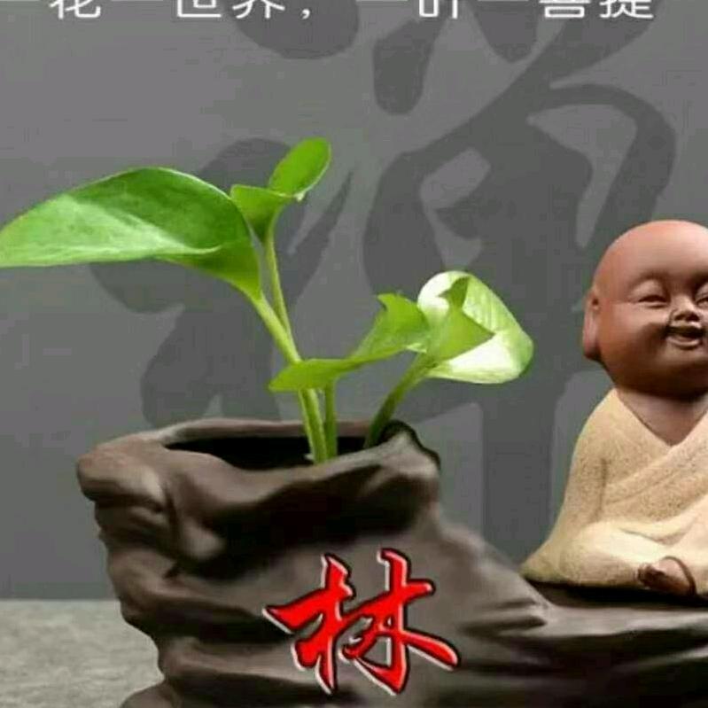 百林长老