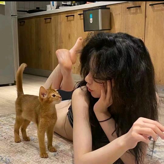 ♡巧克力蛋高