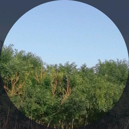 马瑞泉
