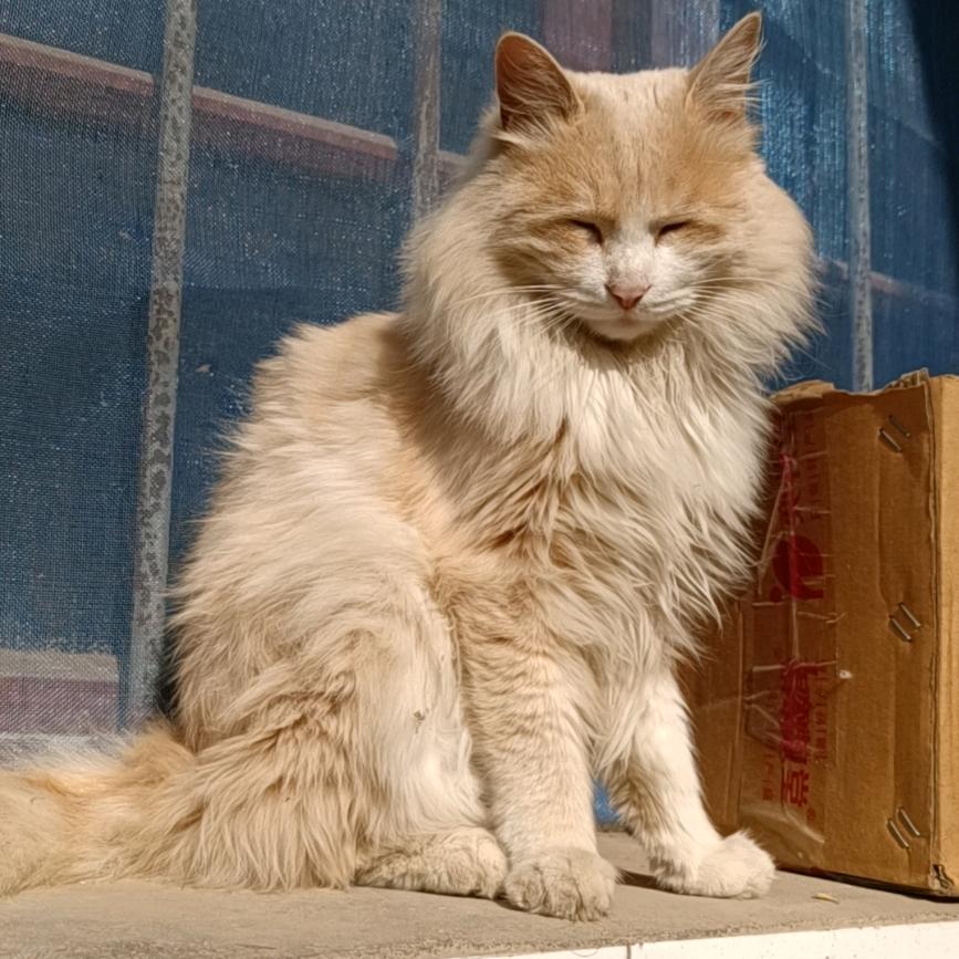 想去追风的人🌝᭄【欣】