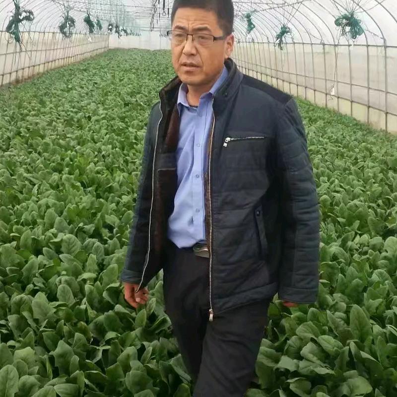 刘玉华_农业践行者