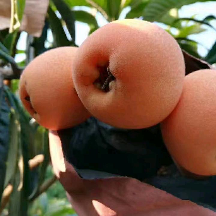 童童