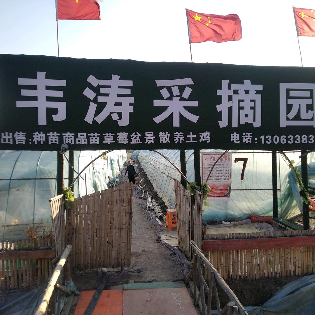 韦涛果蔬批发零售