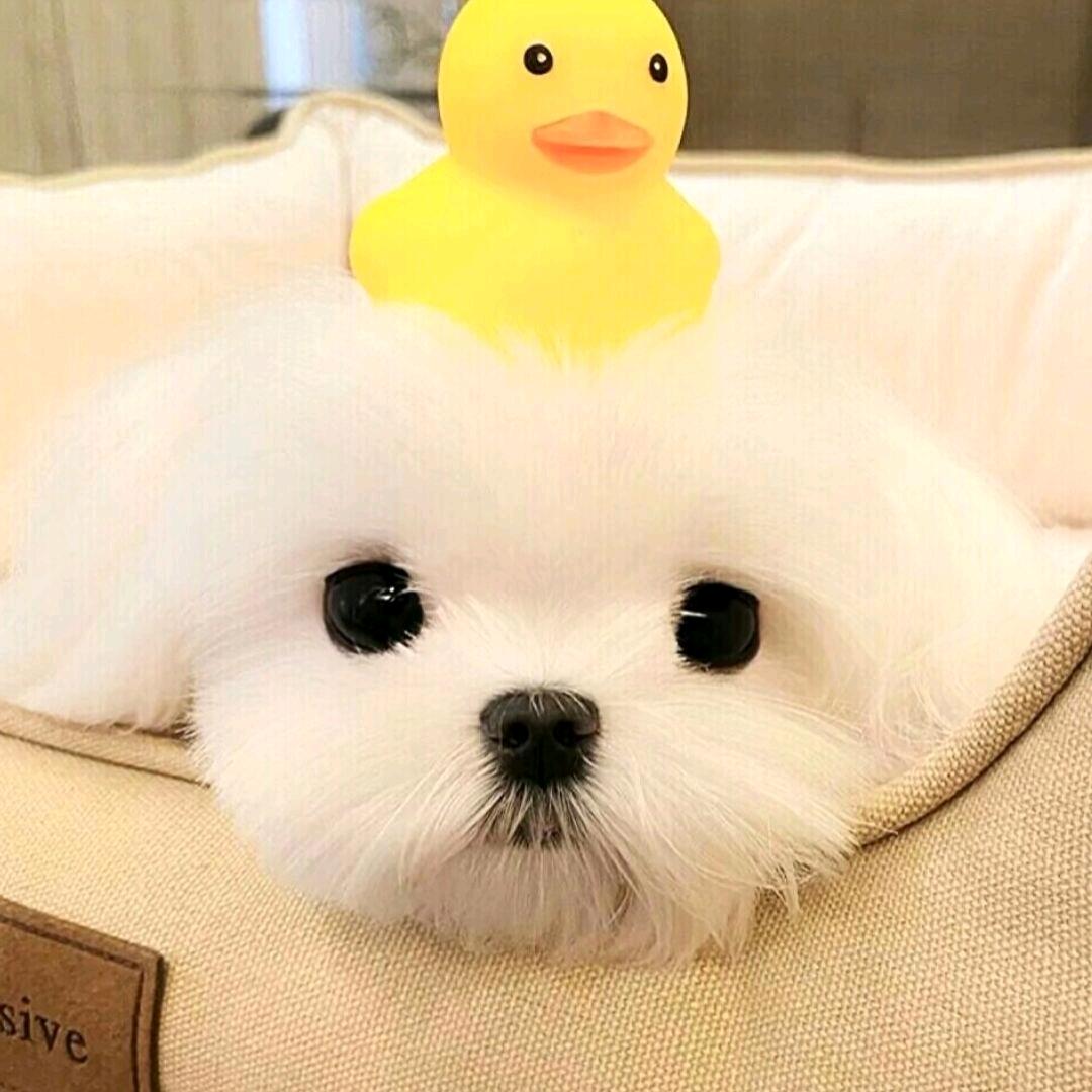 🌈For丨🌈