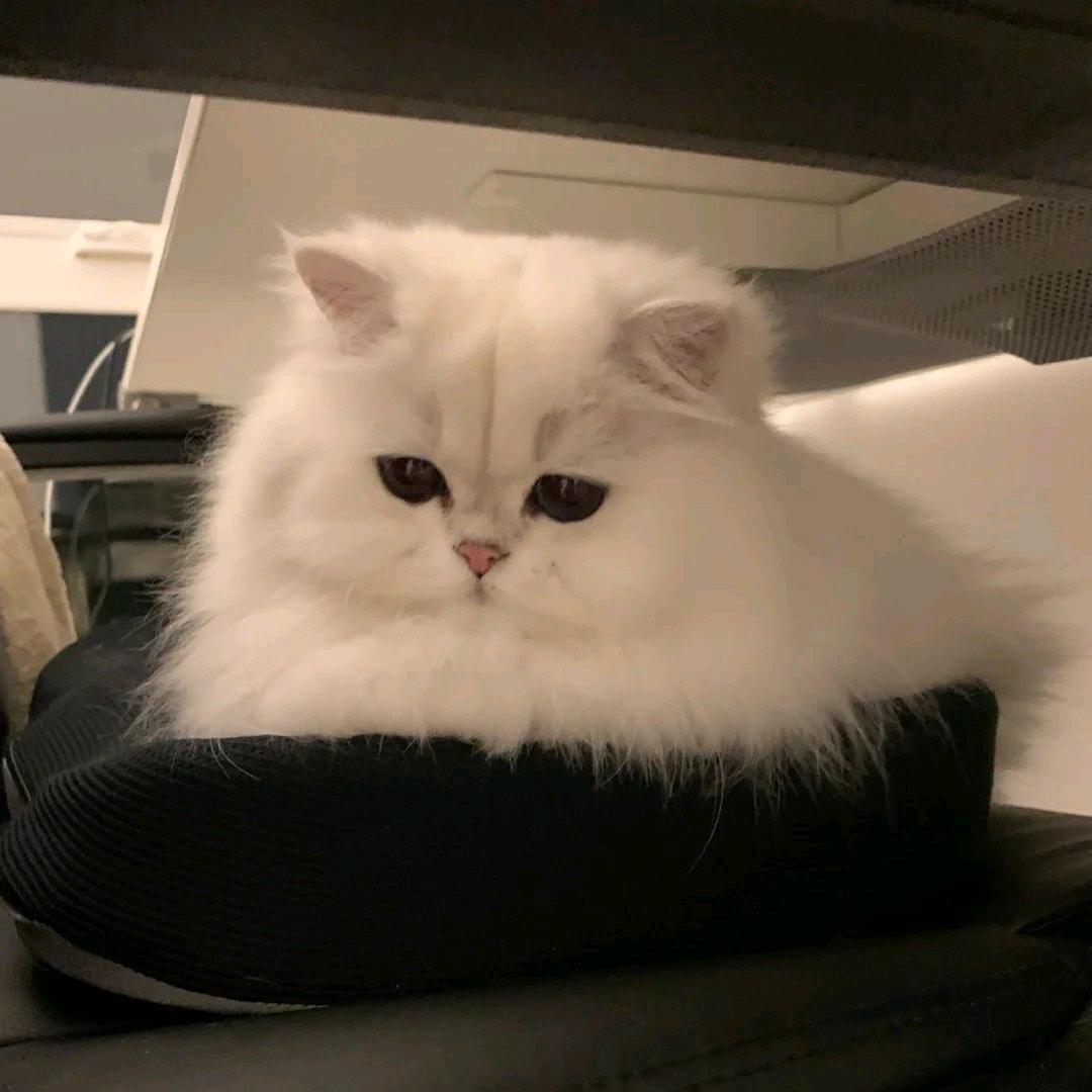 冷漠的石头