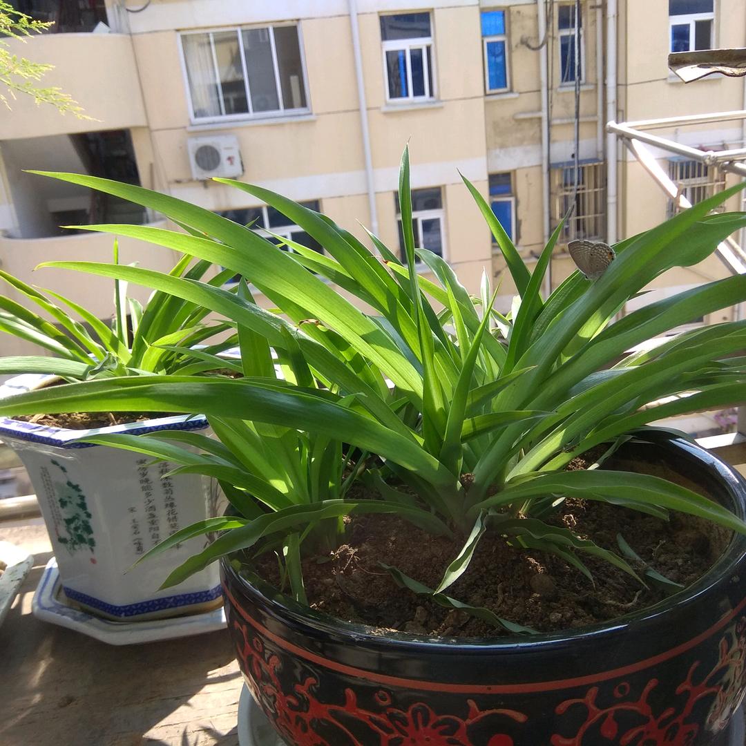 用户6662802487853虎哥