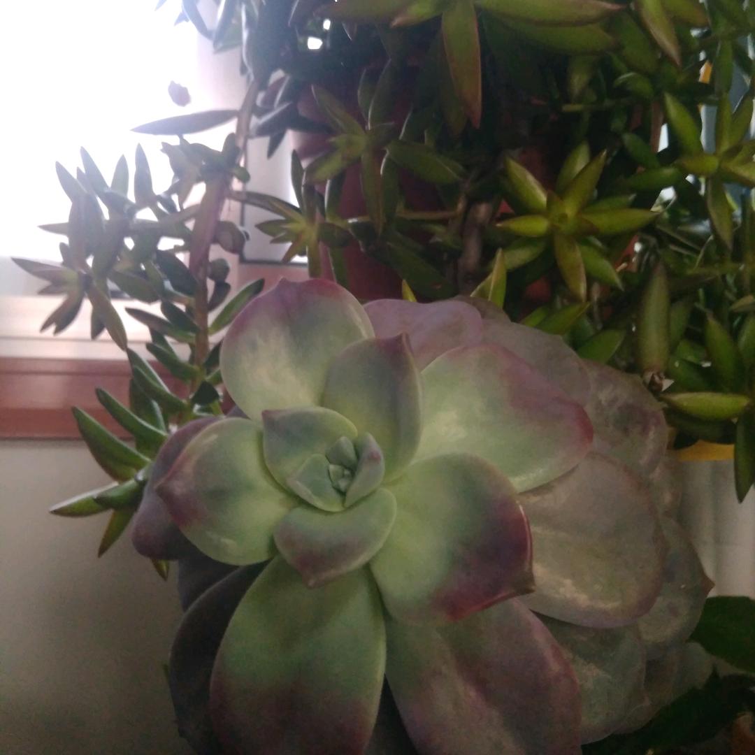 爱在旅途148346083