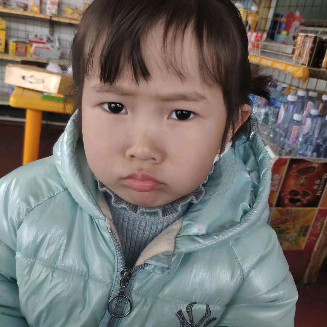 魏从