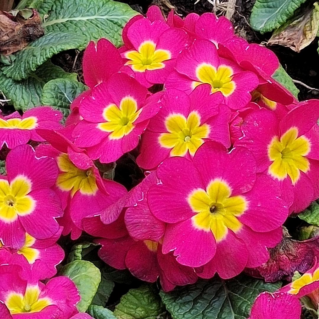 手机用户71157173336