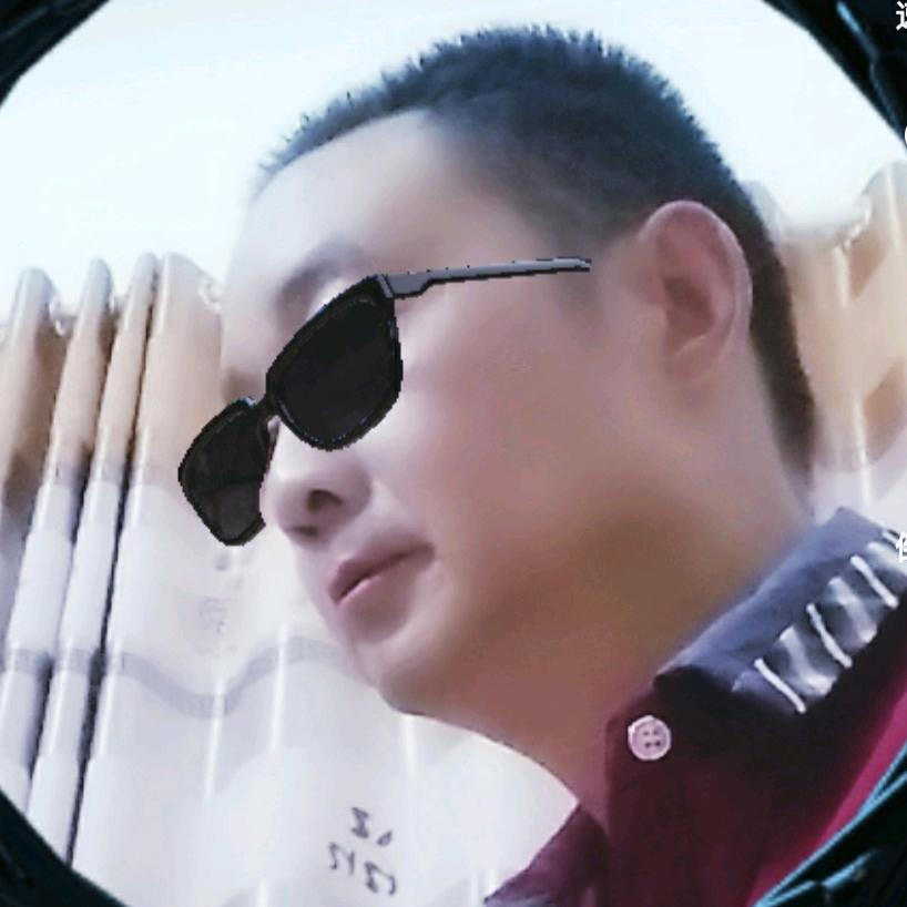 段师