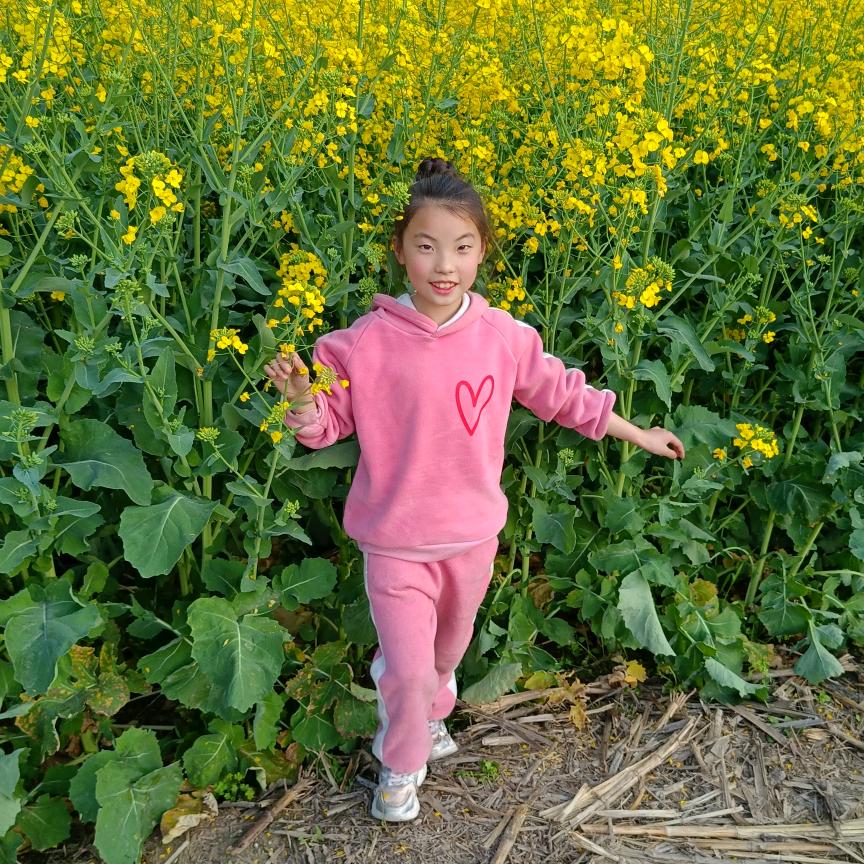 夏菁