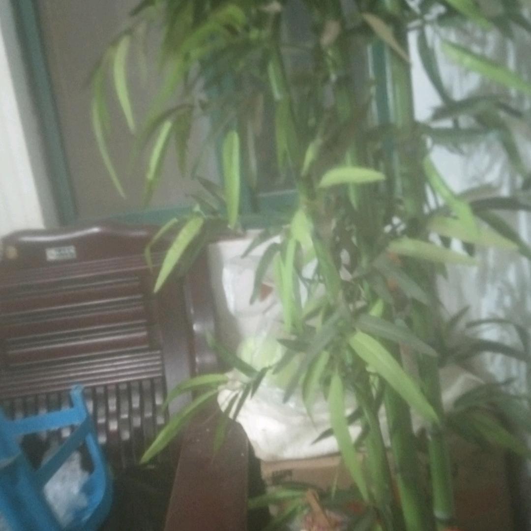 主爱的人