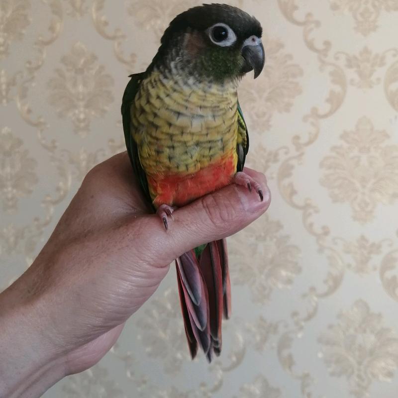 用户9413258257910懂你