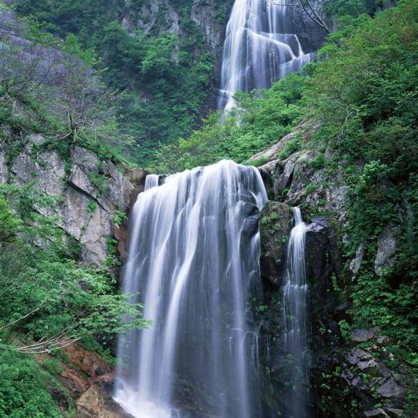 通讯E族