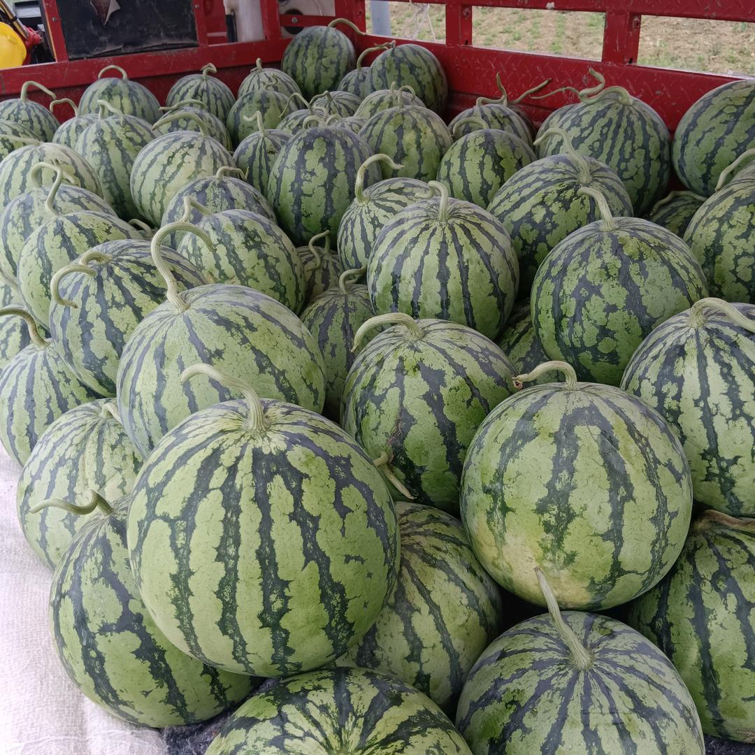 ღ᭄💞刘着彭胀໑ຼ₀₂₃💕