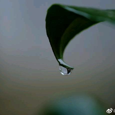 隐形的翅膀