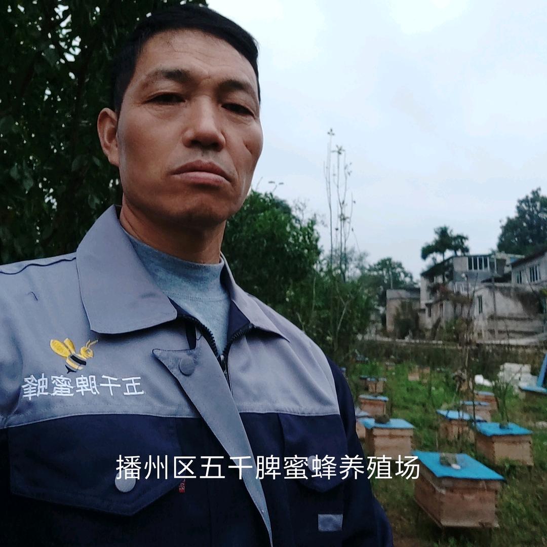 五千脾蜂业