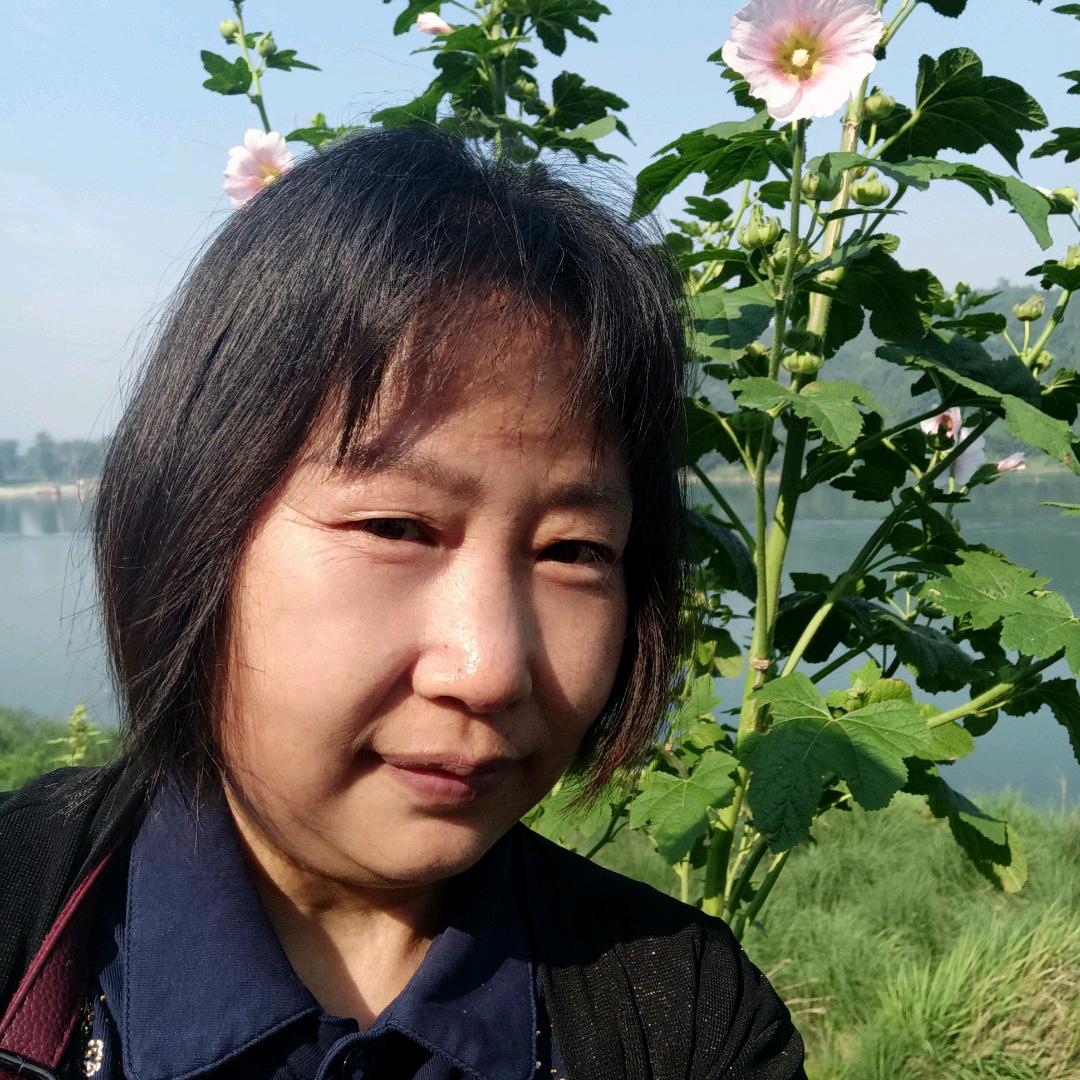菊姐