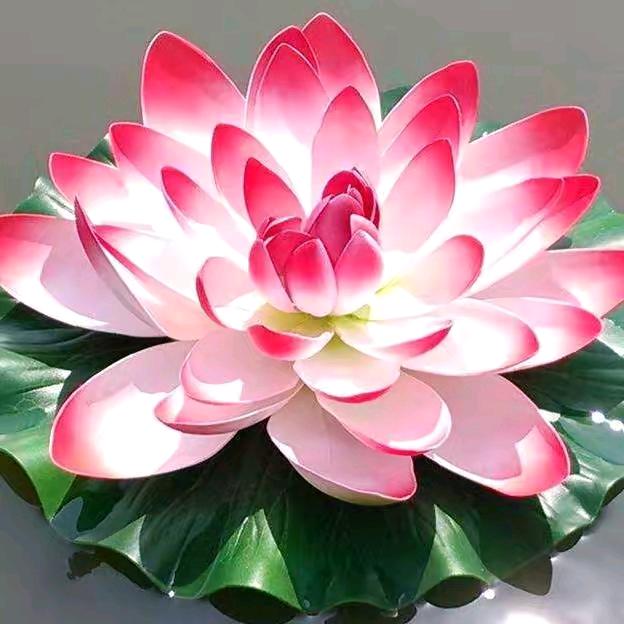 好师傅