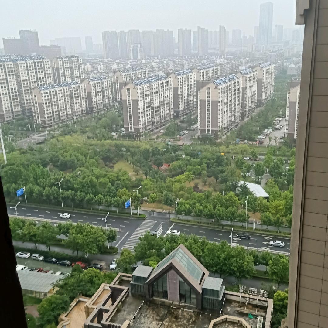 金色年华