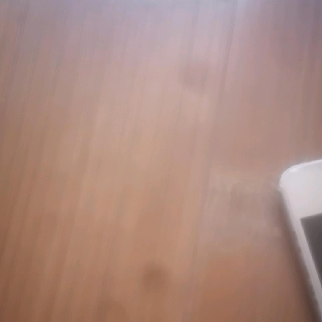 一个兰子