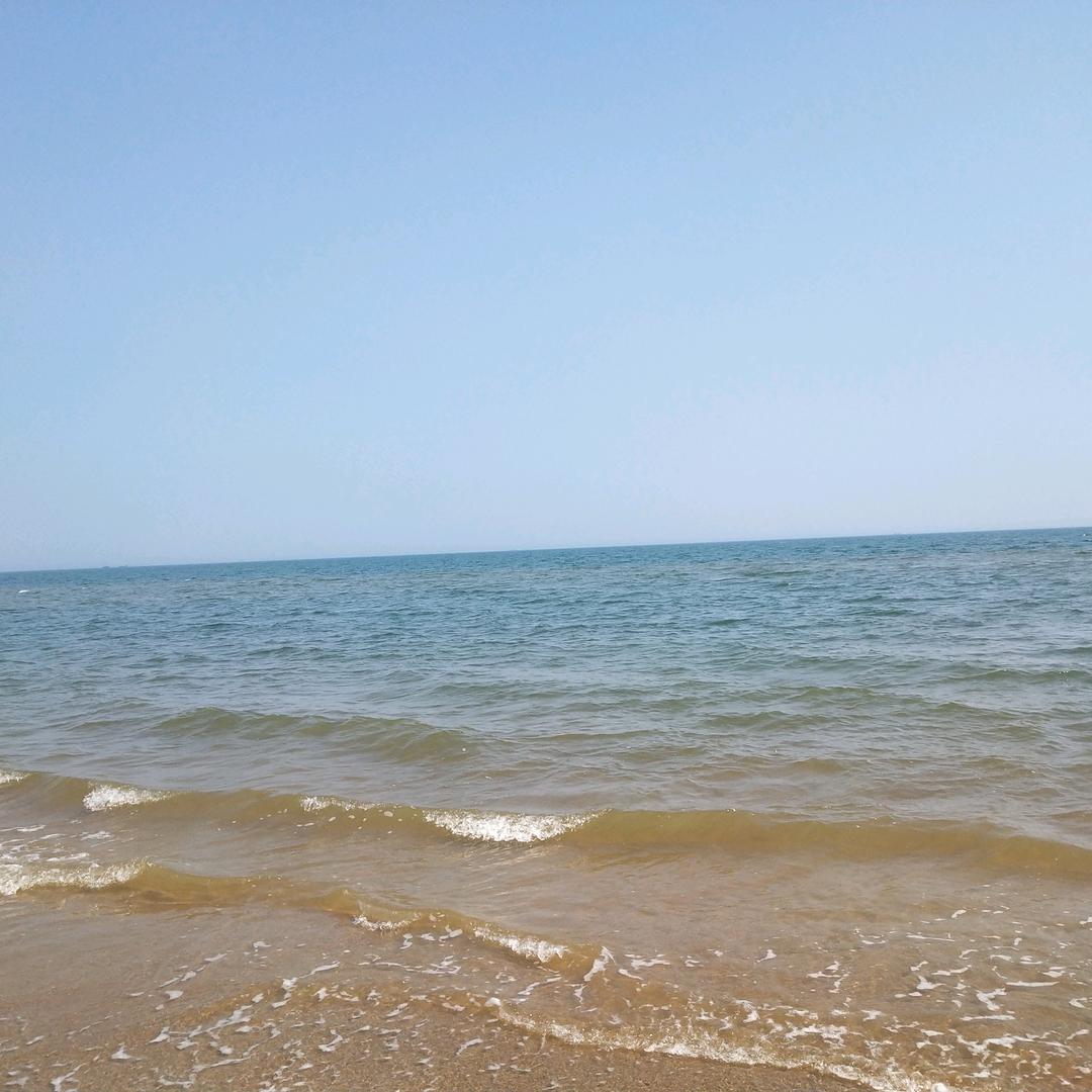 永远的楼主