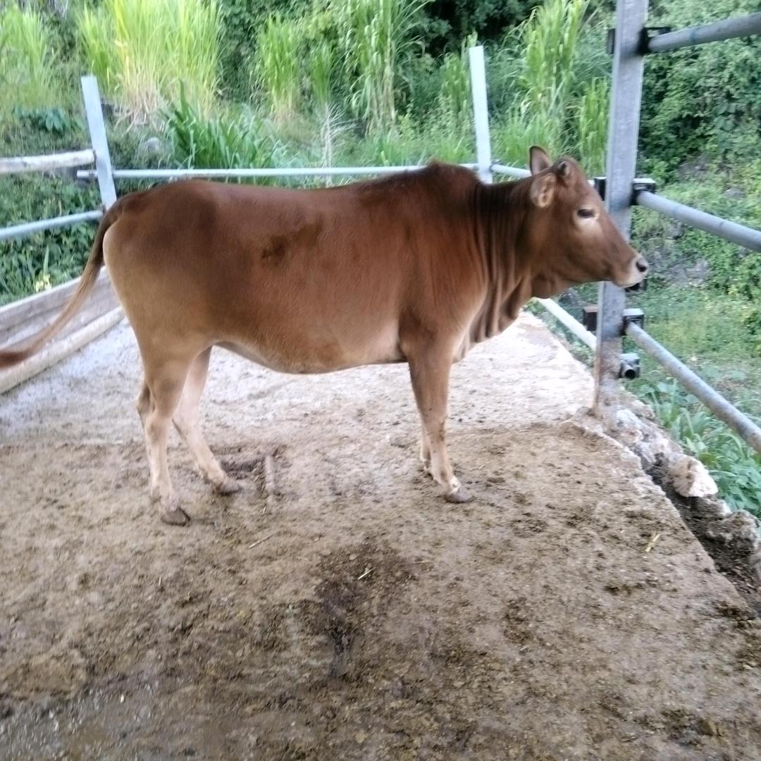 还记得过去吗？