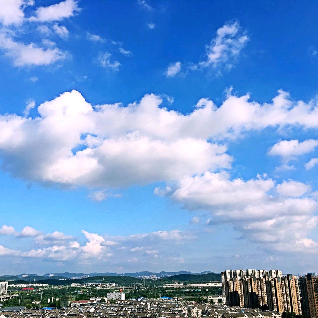 圆溜溜的大拇指