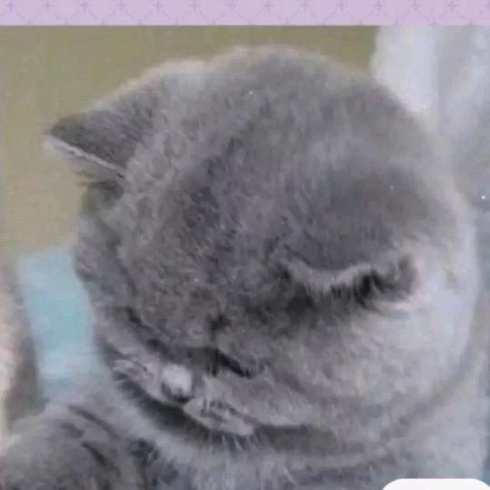 西瓜超甜