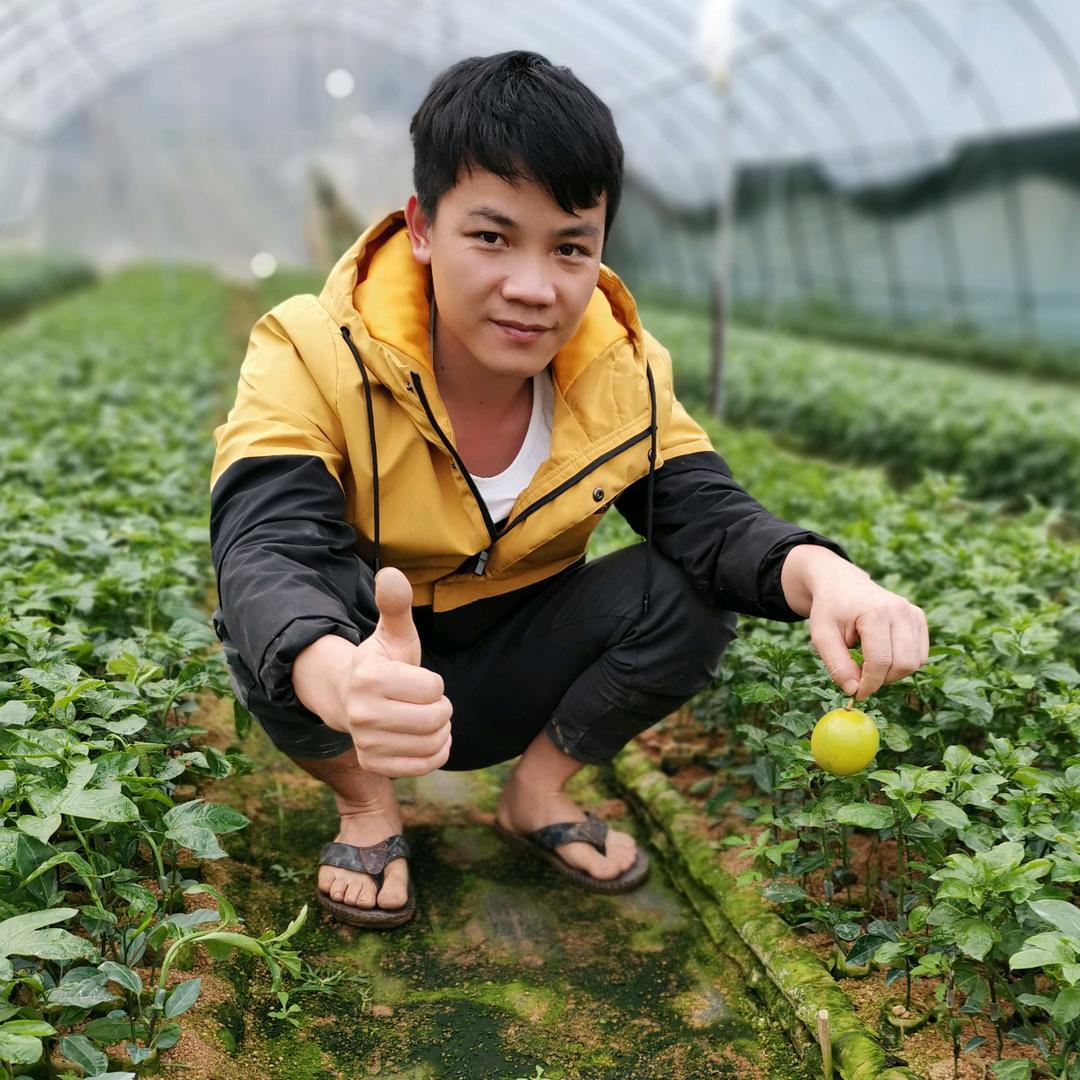 宝华果苗种植场