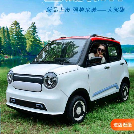 三宝新能源代步车