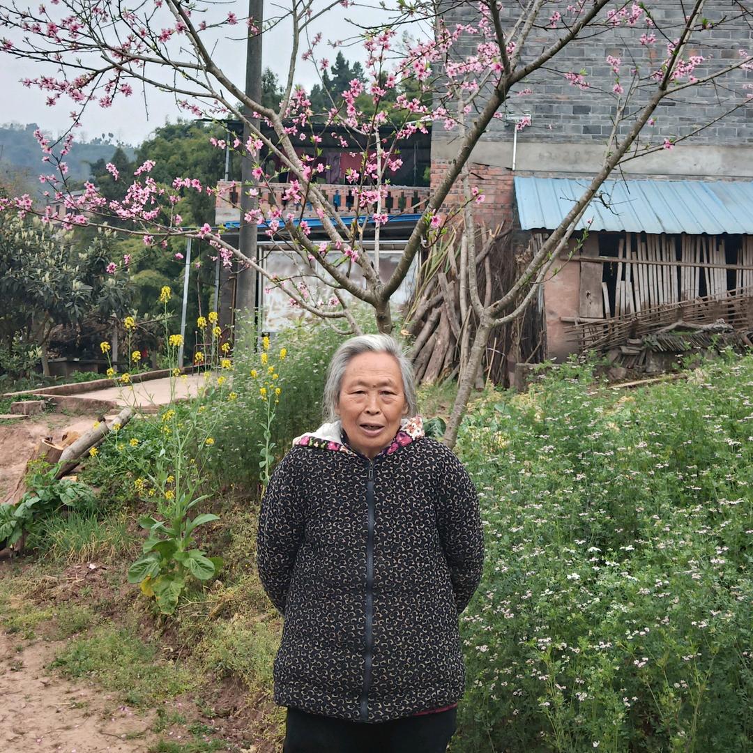 幸福的每一天