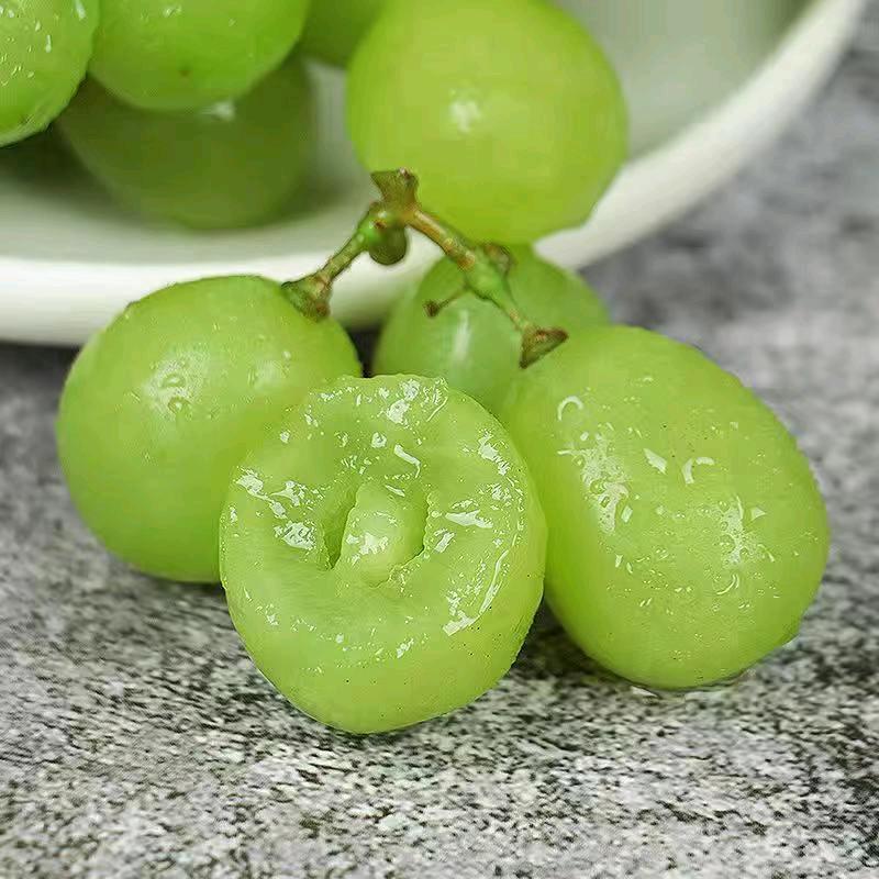 北镇精品葡萄