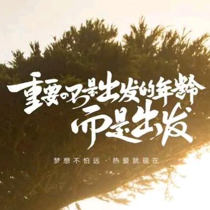 厨电小诸葛