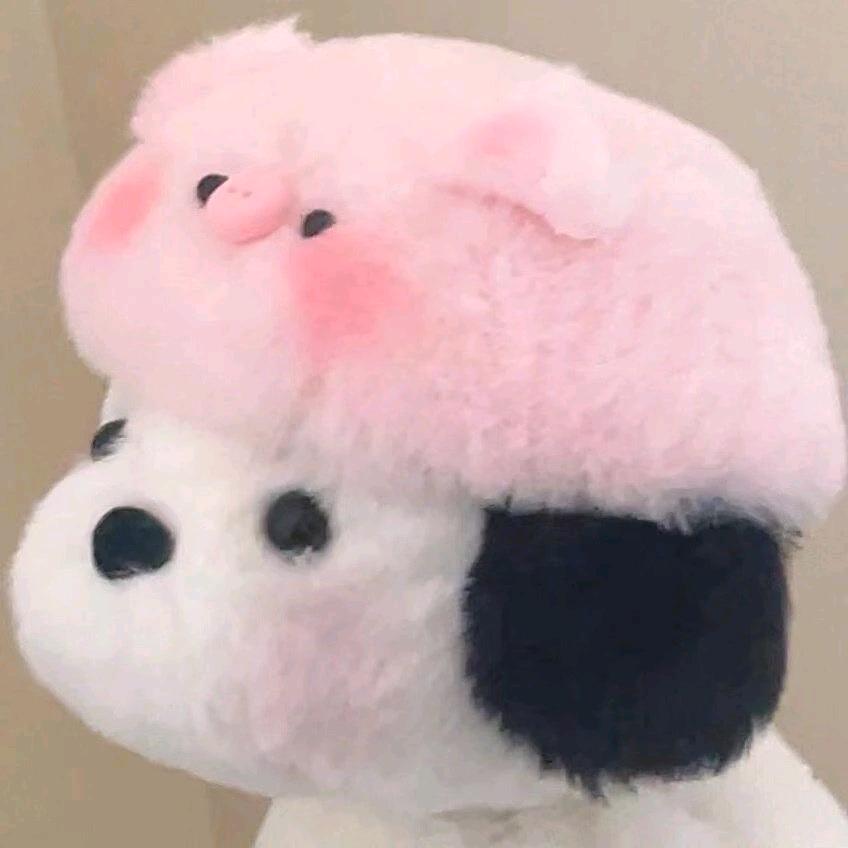 俺有二宝