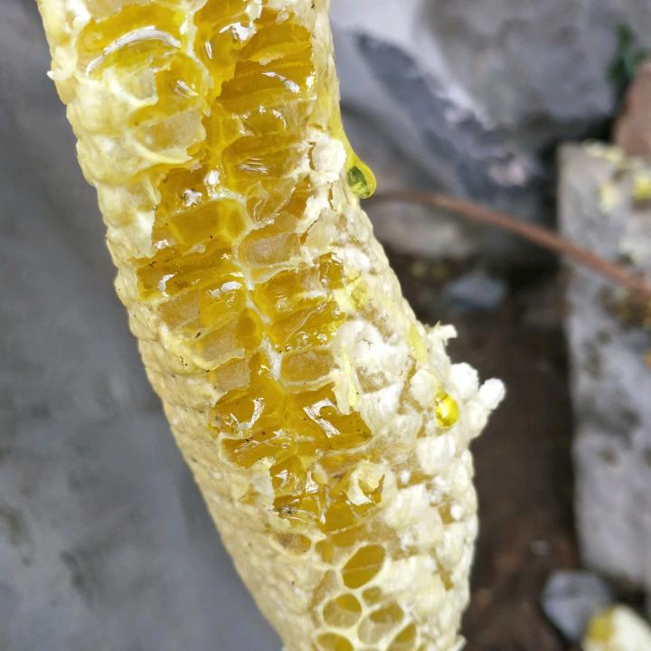 山里美土特产