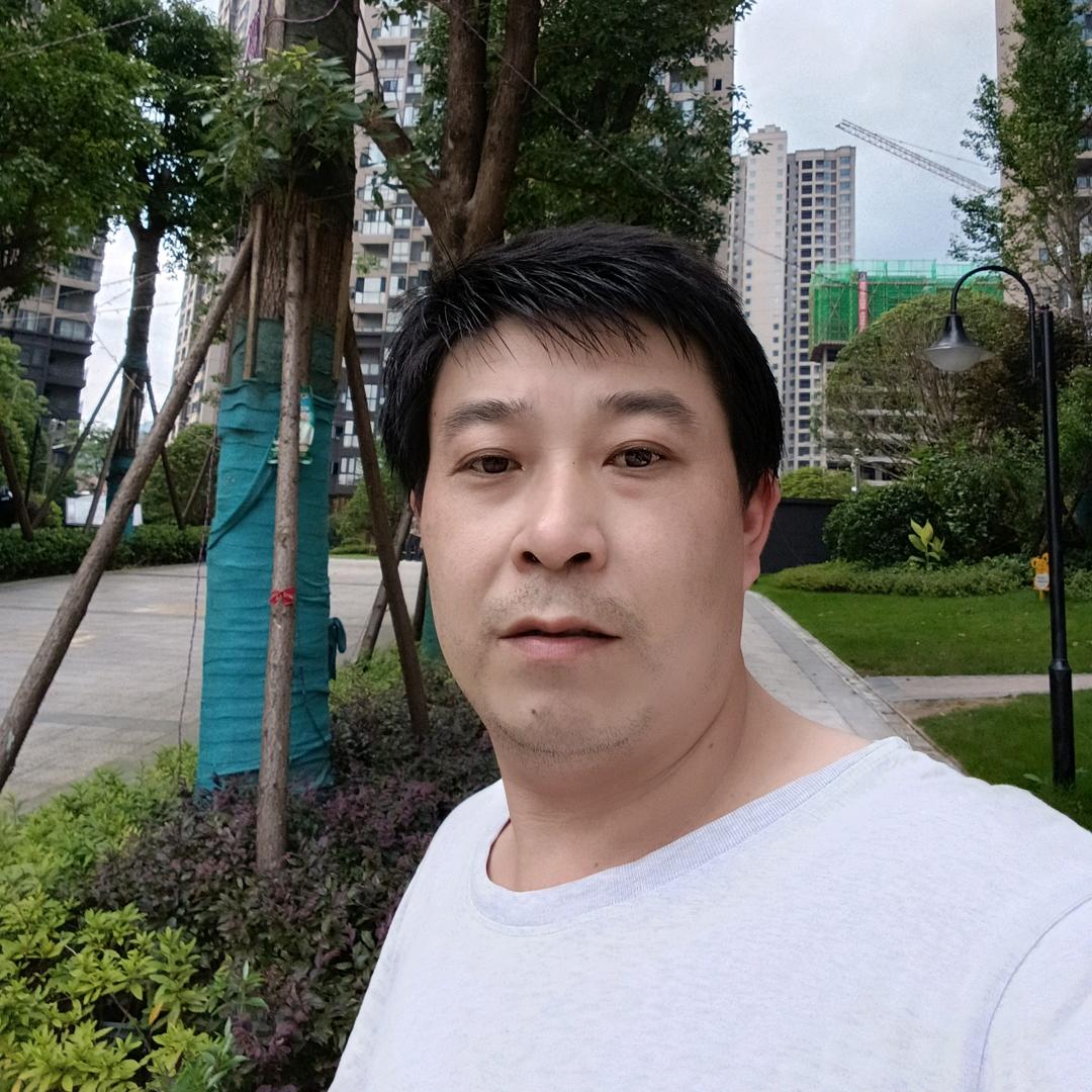 鹏飞