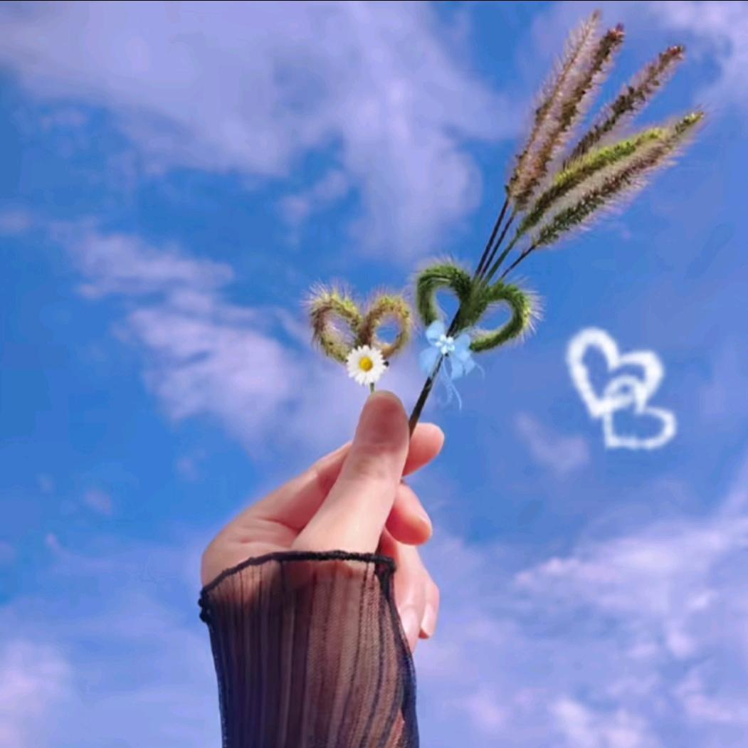 ||～朵玫瑰🌹（渔具小姐姐啊~秋）