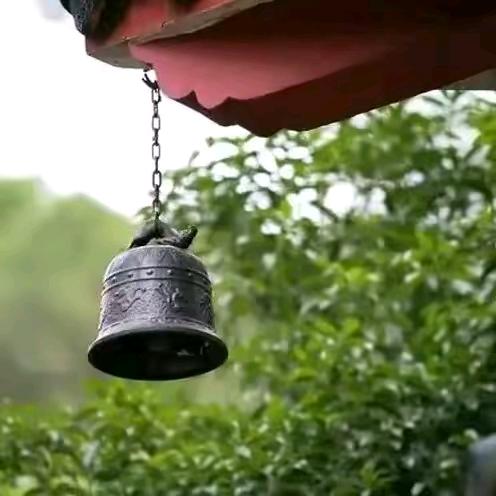 不念过往