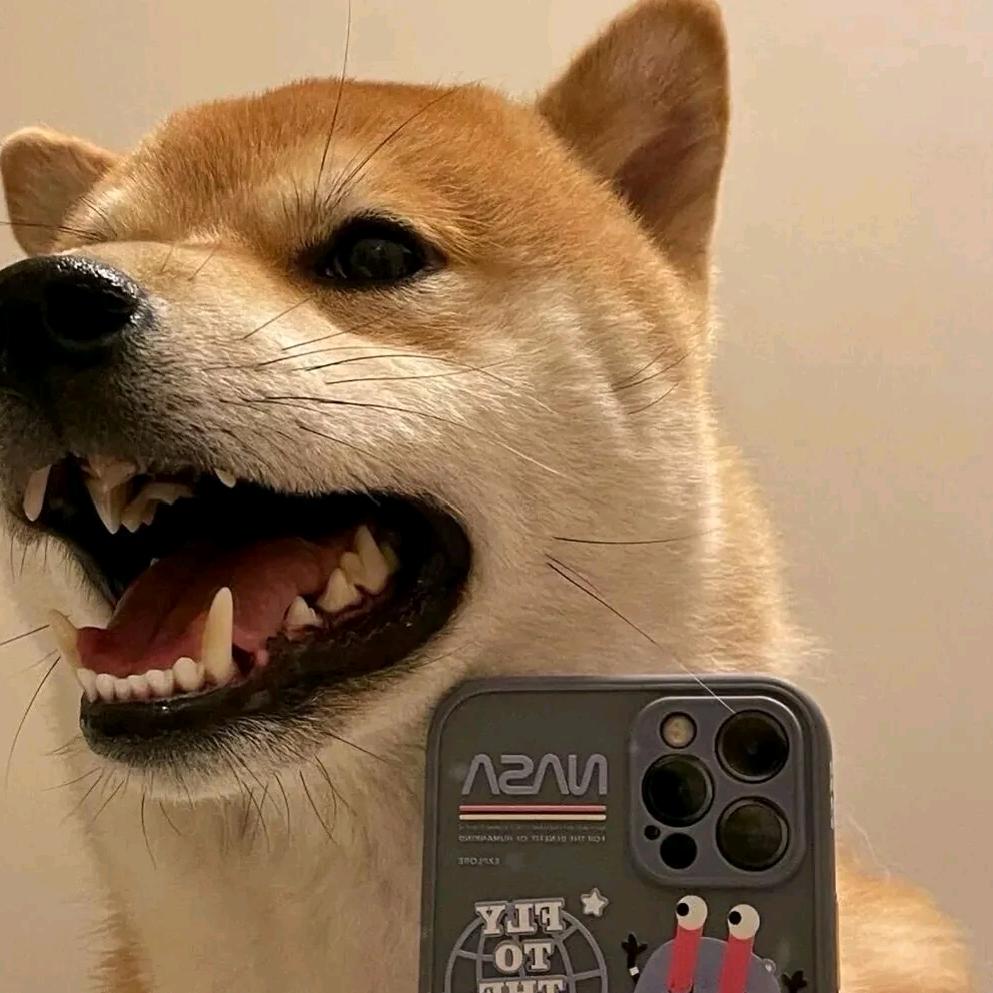 小张没烦恼
