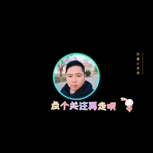 沈寨小老弟【河南驻马店】