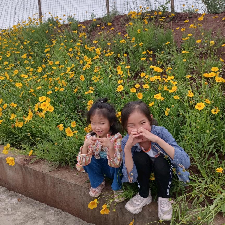 大众房产陈正丽