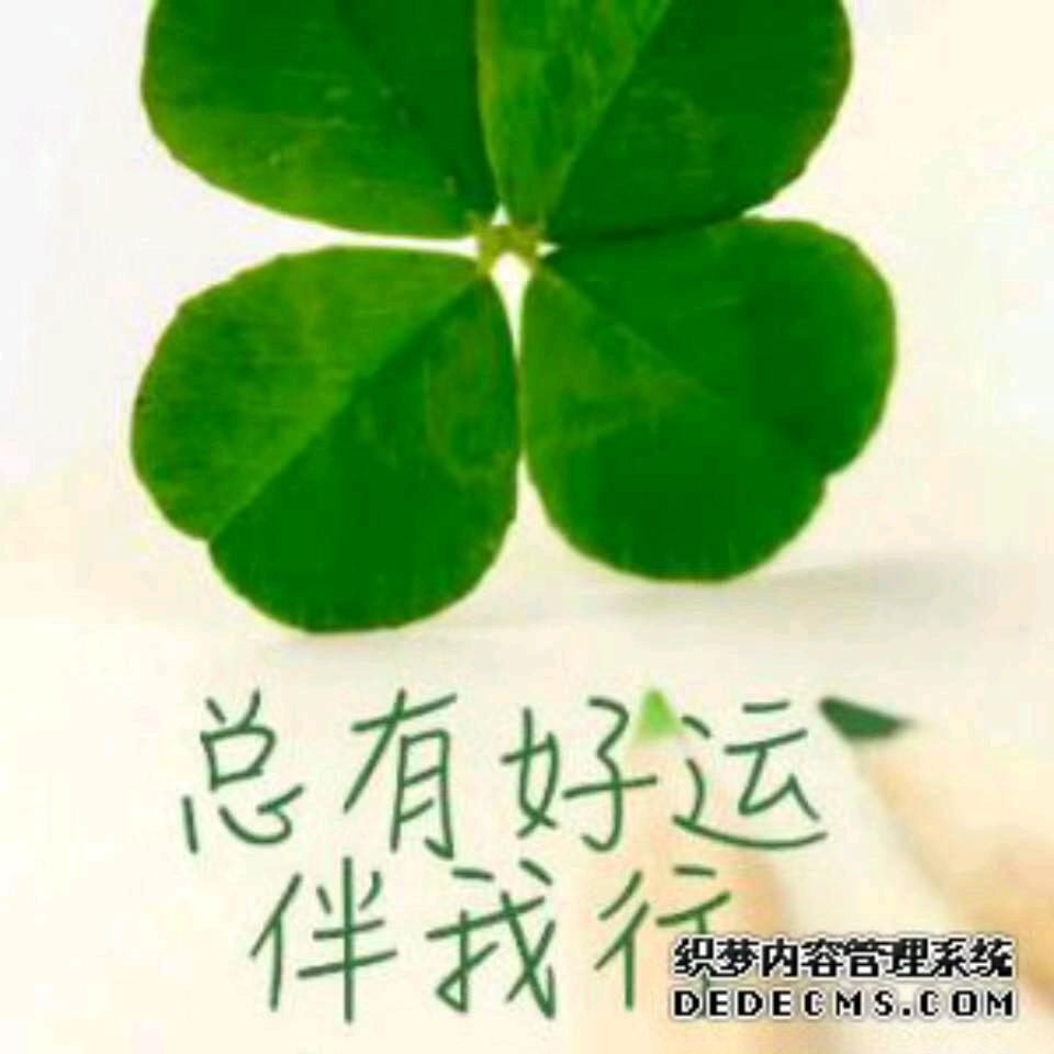 杨家庄抖音队爱红