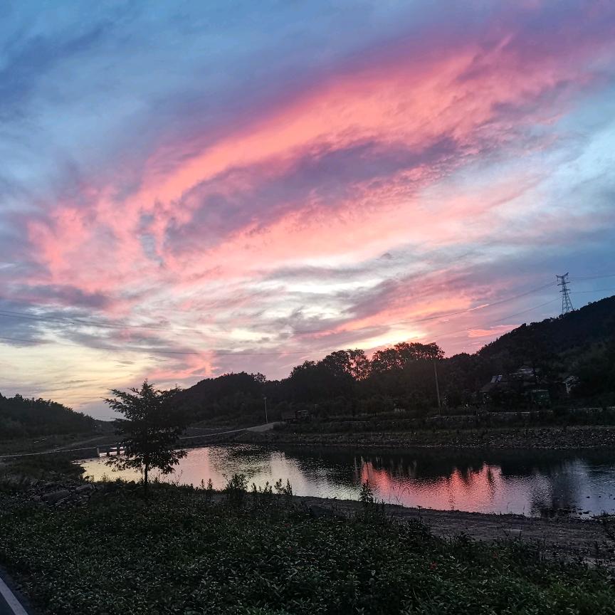 鹏程茶行正宗溪口高山茶